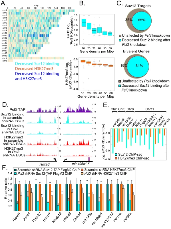 Pcl3 affects Suz12 binding at a subset of PRC2 targets.