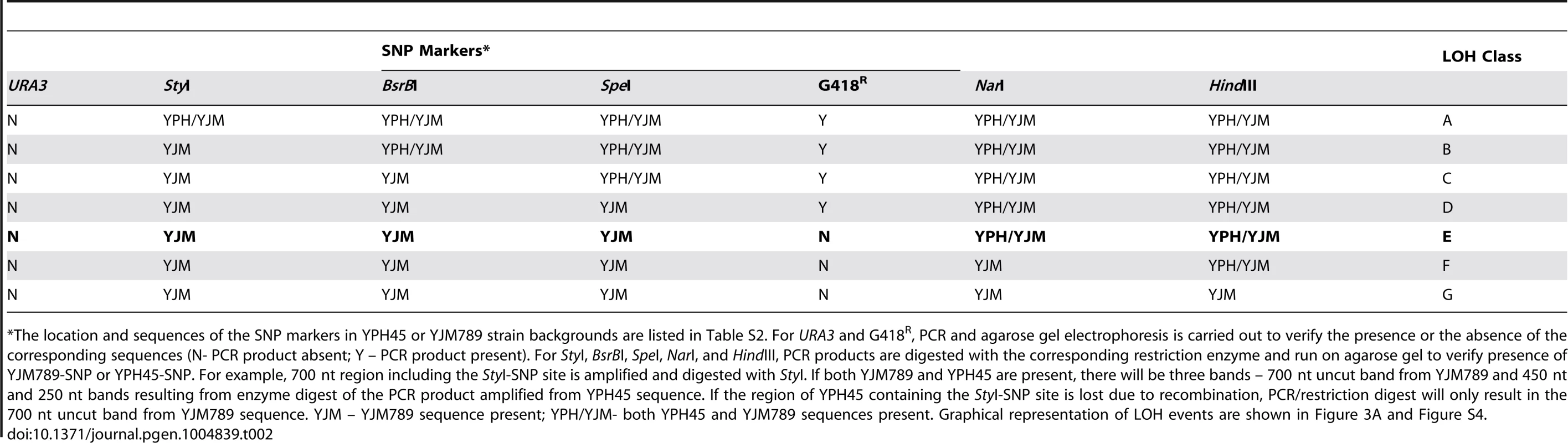 Mapping of LOH events by RFLP-SNP assay.