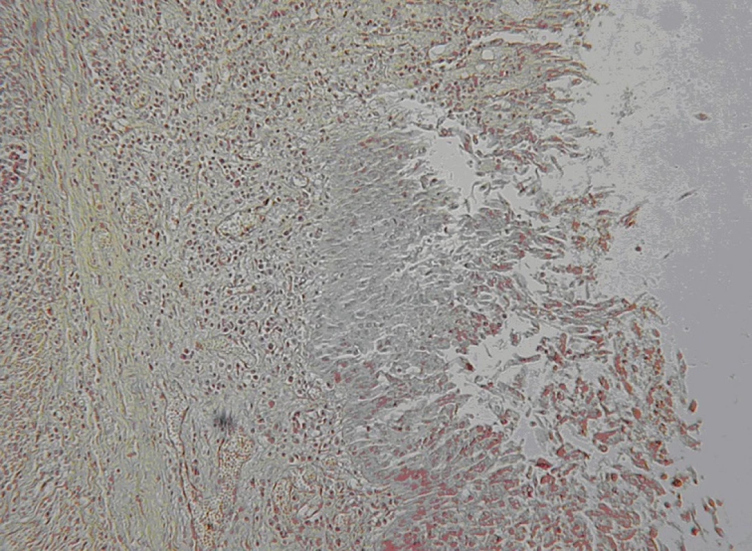 <br>Fig. 6.