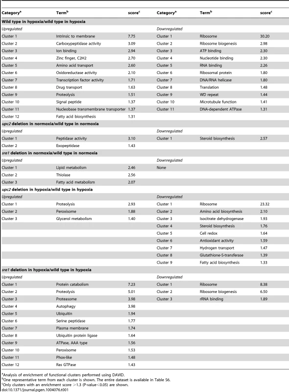Pathway enrichment of differentially expressed genes.