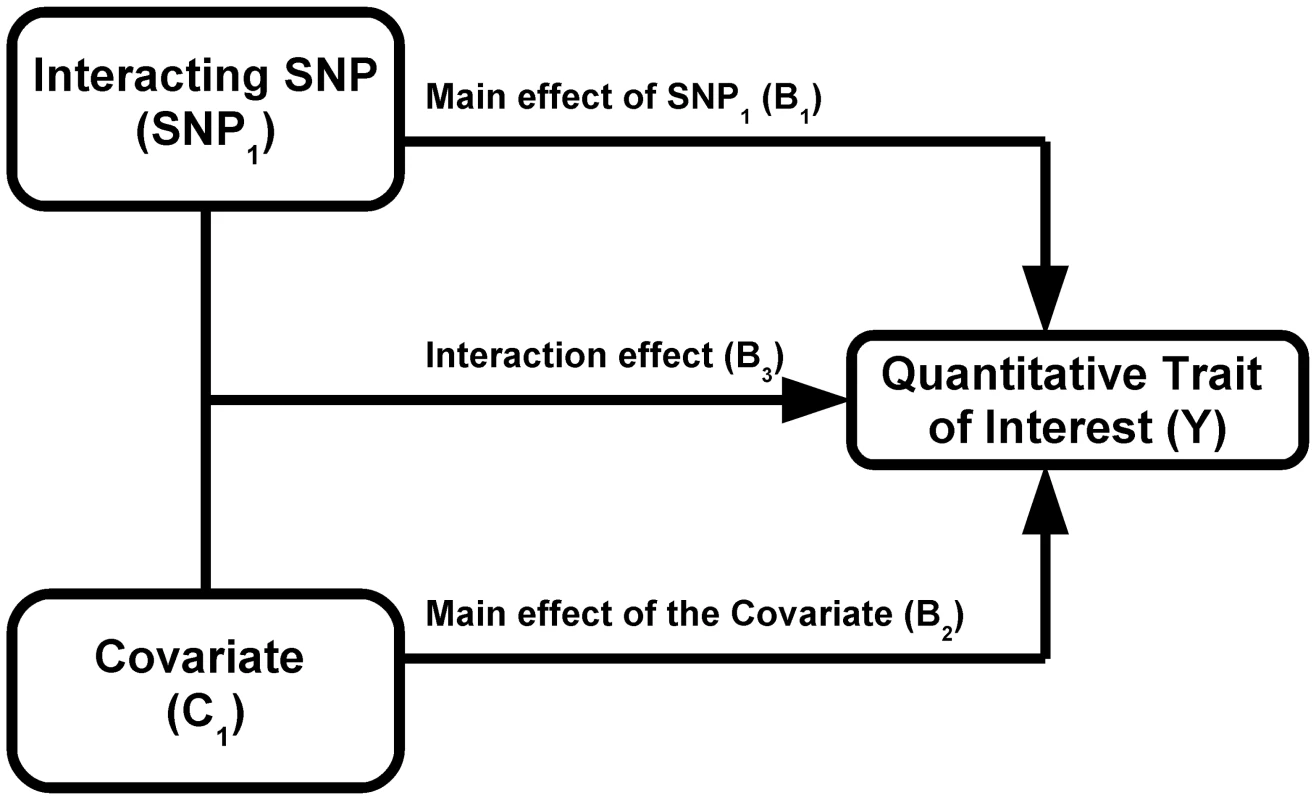 Model of interaction.