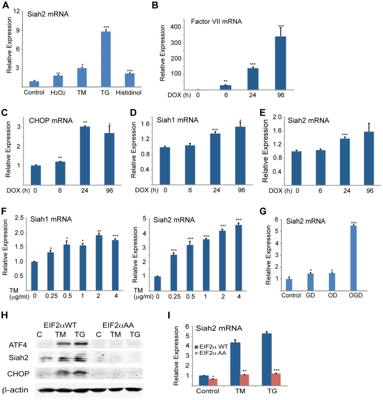 Severe ER stress conditions are required to induce Siah1/2 transcription by UPR.