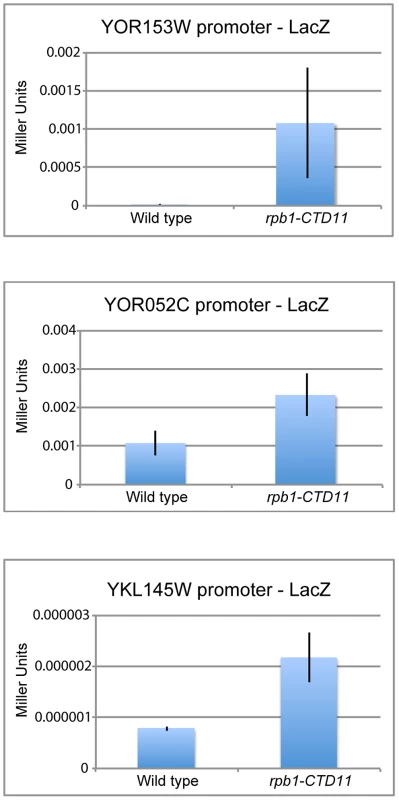 Increases in mRNA levels in CTD truncation mutants were in part a result of increased transcription initiation.
