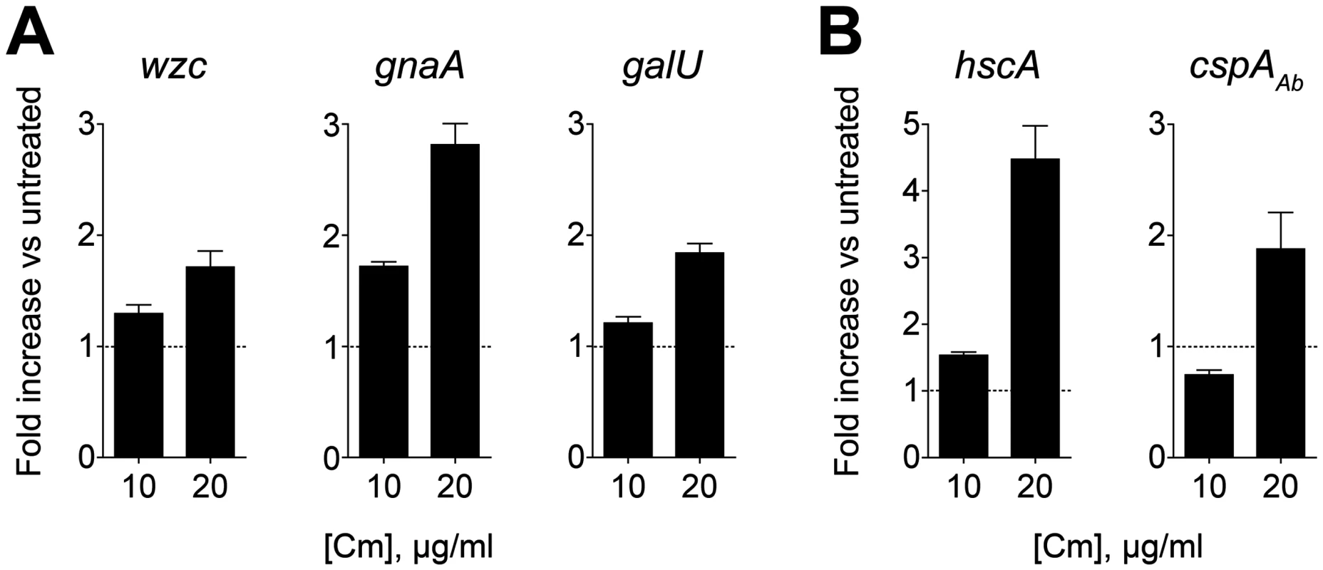 Capsular exopolysaccharide hyperproduction is associated with transcriptional increases in K locus and cold-shock gene expression.