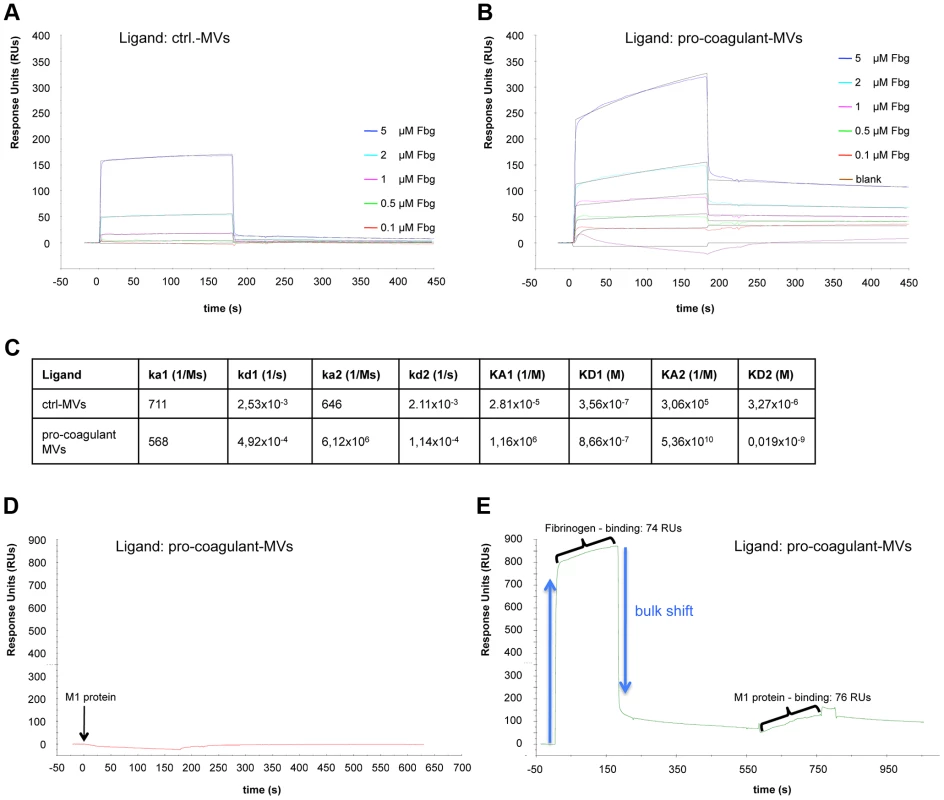 Binding properties of MV surfaces measured by SPR.