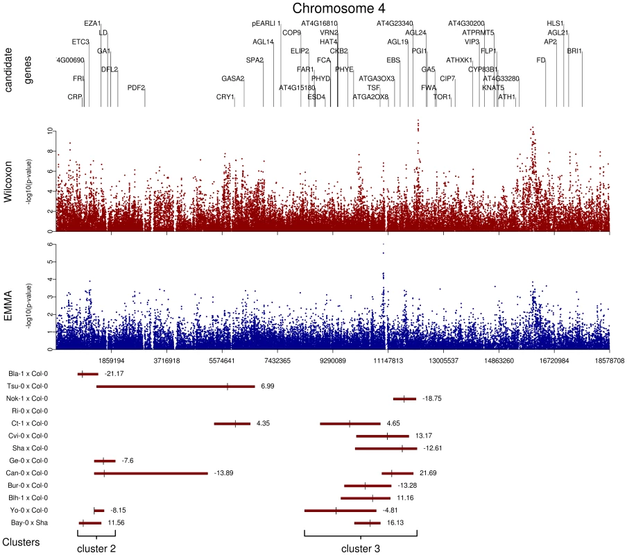 Comparison of GWA and traditional linkage mapping (additive QTLs) results for flowering time for chromosome 4.
