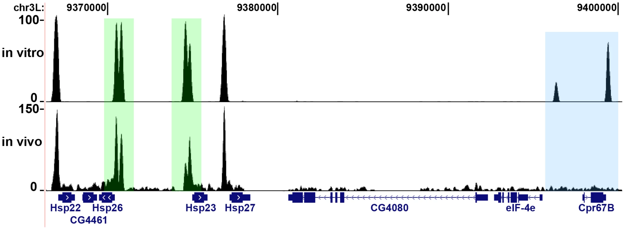 In vitro binding reveals potential HSF binding sites.