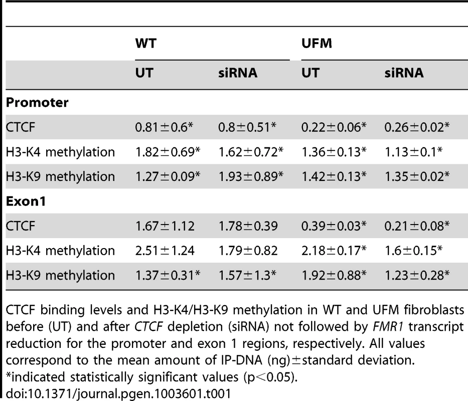 ChIP results after <i>CTCF</i> knock-down without <i>FMR1</i> transcript reduction.