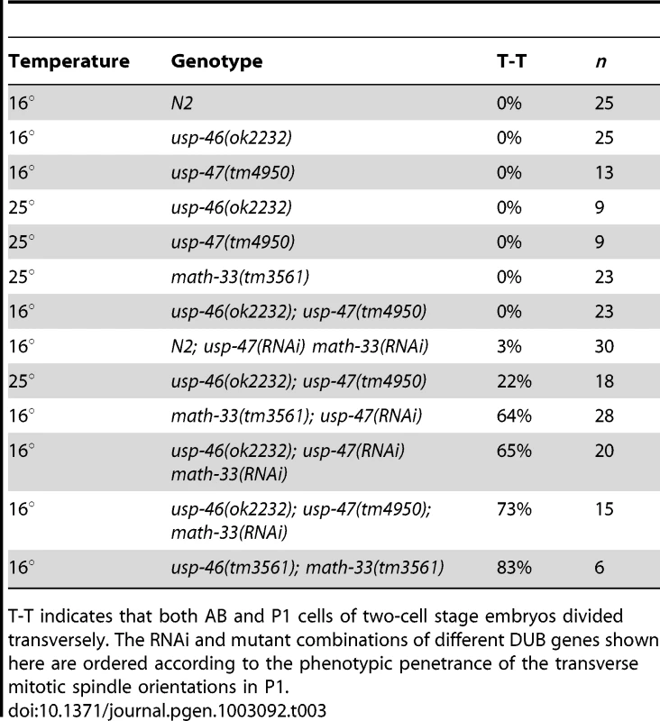 Effect of RNAi/mutant combinations of <i>math-33</i>, <i>usp-46</i>, and <i>usp-47</i> on P1 spindle orientation.