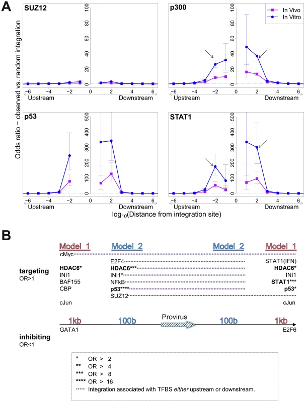 Influence of host TFBS on integration site targeting.