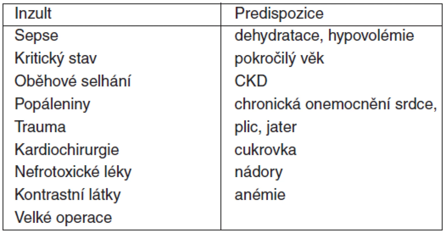 Rizikové inzulty a predispozice k AKI