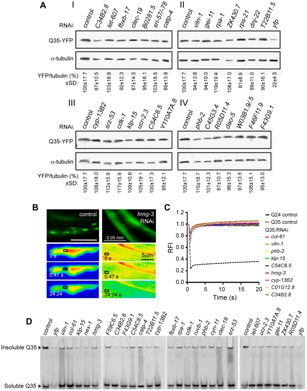 Suppressors of aggregation maintain polyQ in a diffuse state without affecting expression levels.