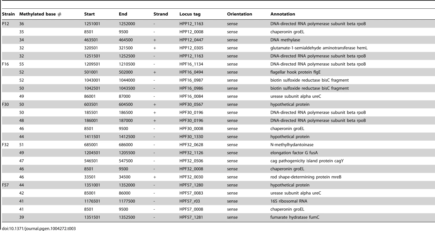 Top 5 hypermethylated regions in each strain.