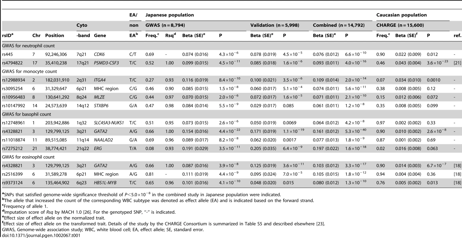 Significantly associated SNPs in the GWAS for WBC subtypes.