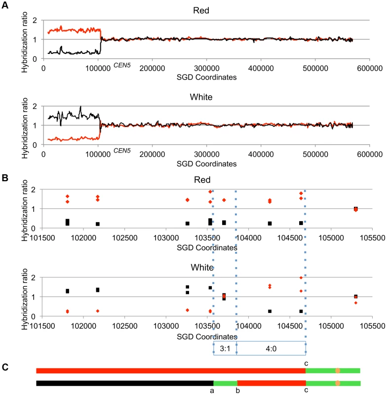 Mapping crossovers on chromosome V by SNP arrays.