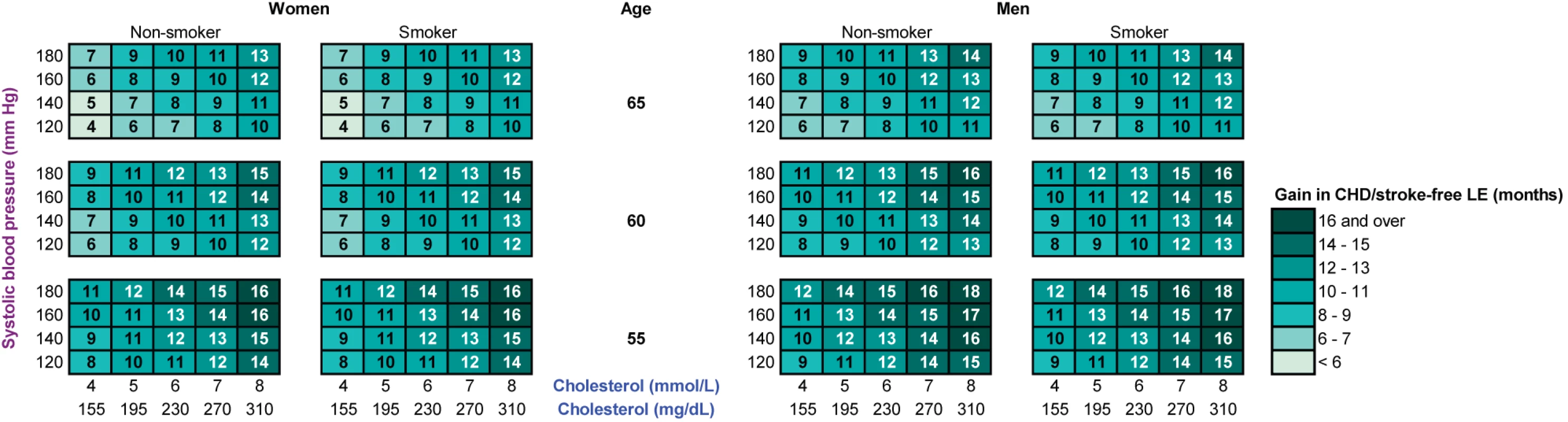 The gain in CHD/stroke-free life expectancy (in months) with statin therapy, calculated with the RISC model.