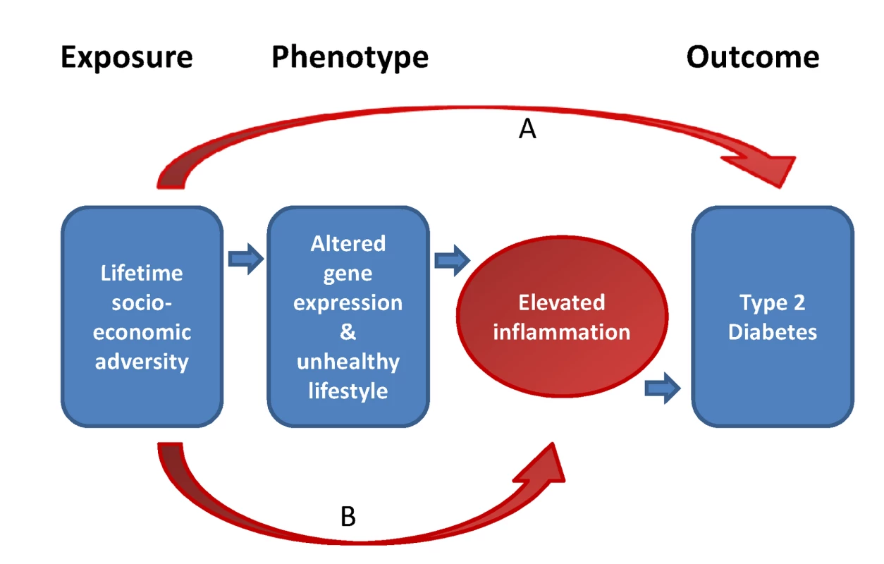 Simplified conceptual framework for the potential role of inflammatory processes in explaining social inequalities in type 2 diabetes.
