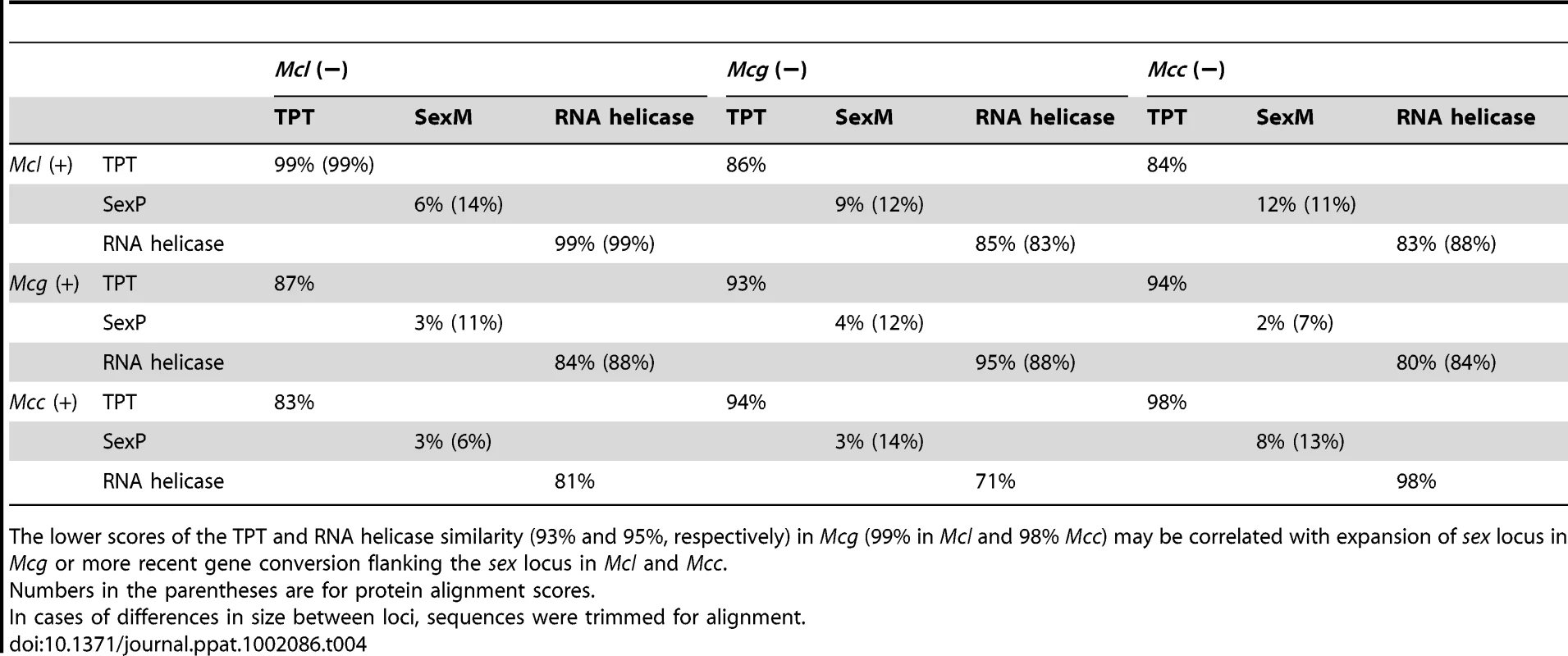 DNA and deduced protein sequence comparison between three subspecies.