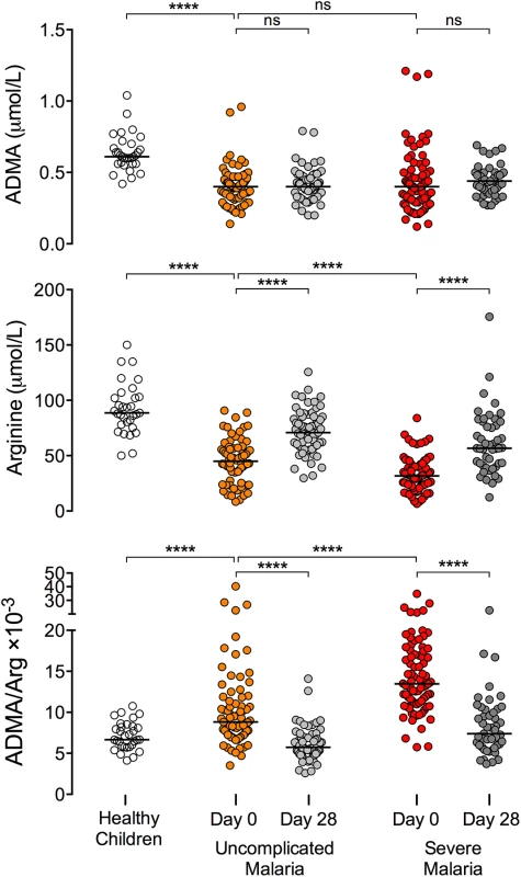 The ADMA/arginine ratio is acutely elevated in African children with severe malaria.