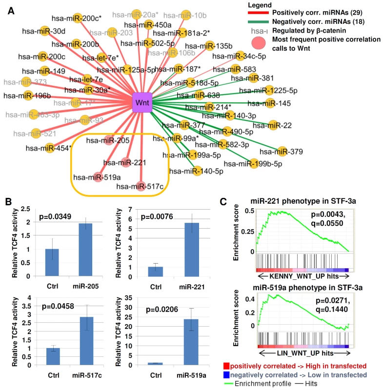 Identifying miRNA–Wnt pathway connections.