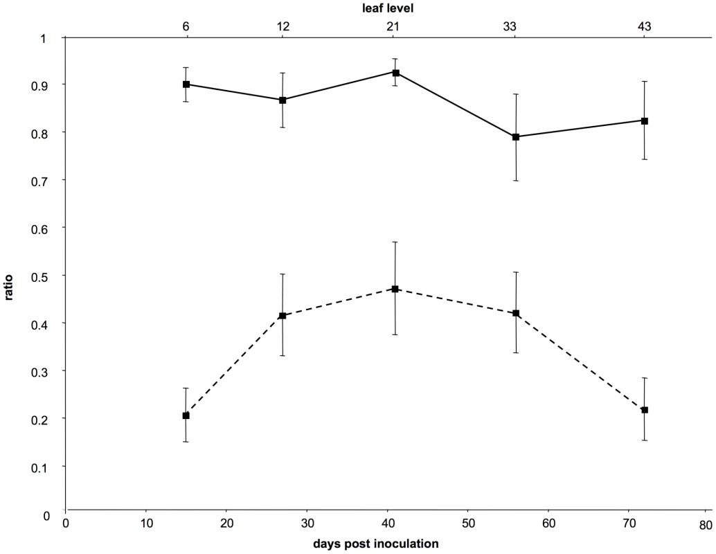 Dynamics of the frequency of VIT1 and of the proportion of cells infected by both variants.