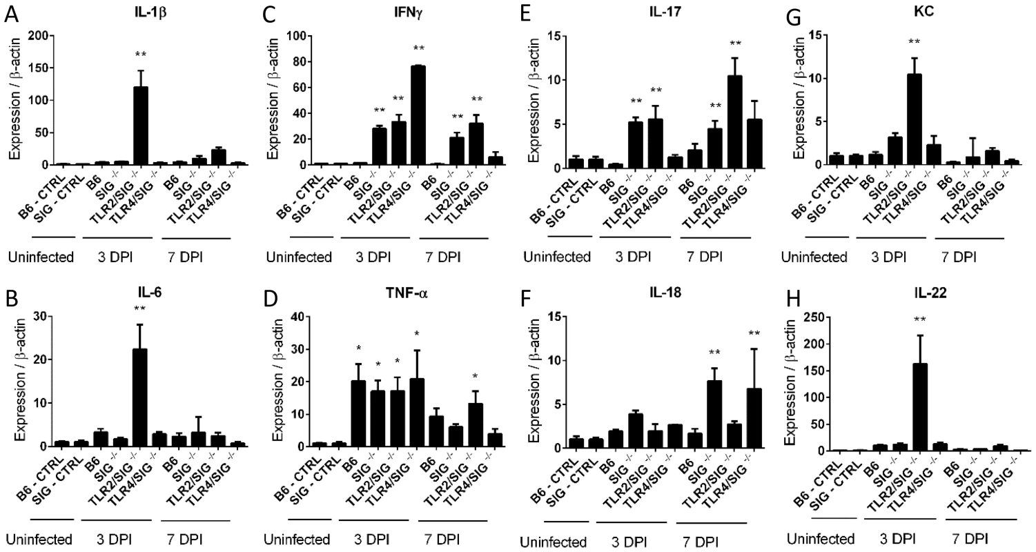 Cytokine production in infected mice.