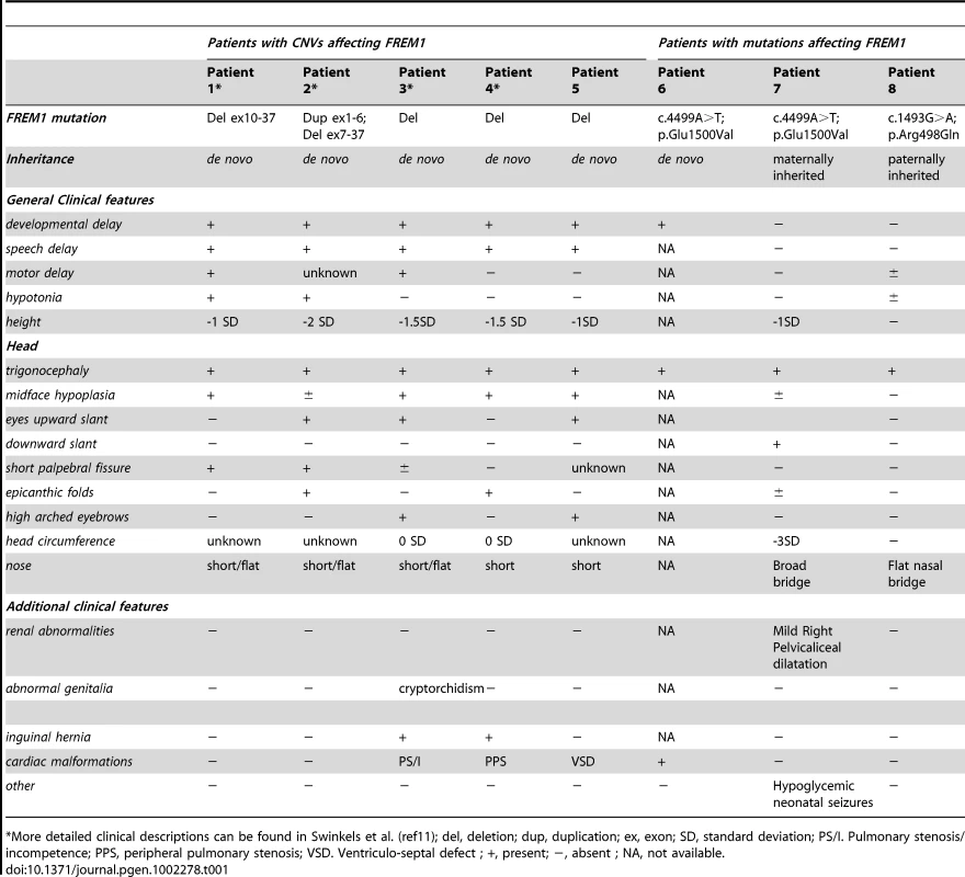 Molecular and clinical patient information.