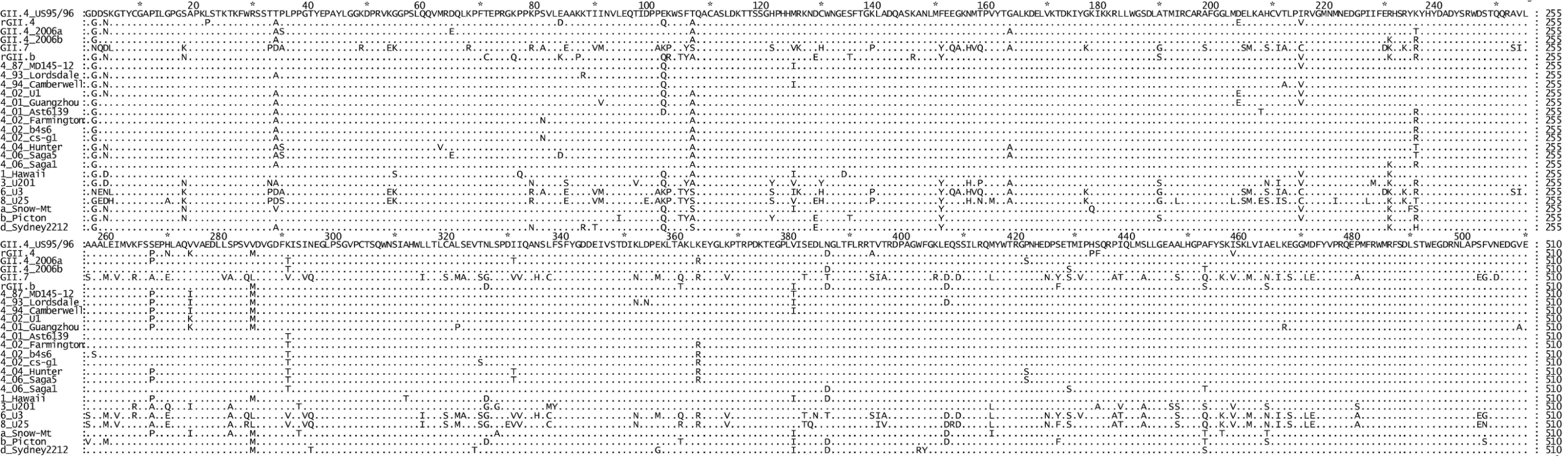 Comparison of the amino acid sequence of the six NoV RdRps used in this study to other representative GII strains.