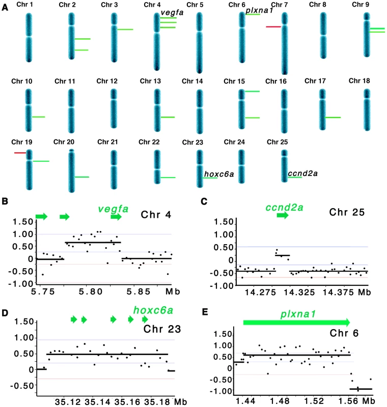 Array CGH reveals cancer-specific chromosomal abnormalities in zebrafish ERMS.