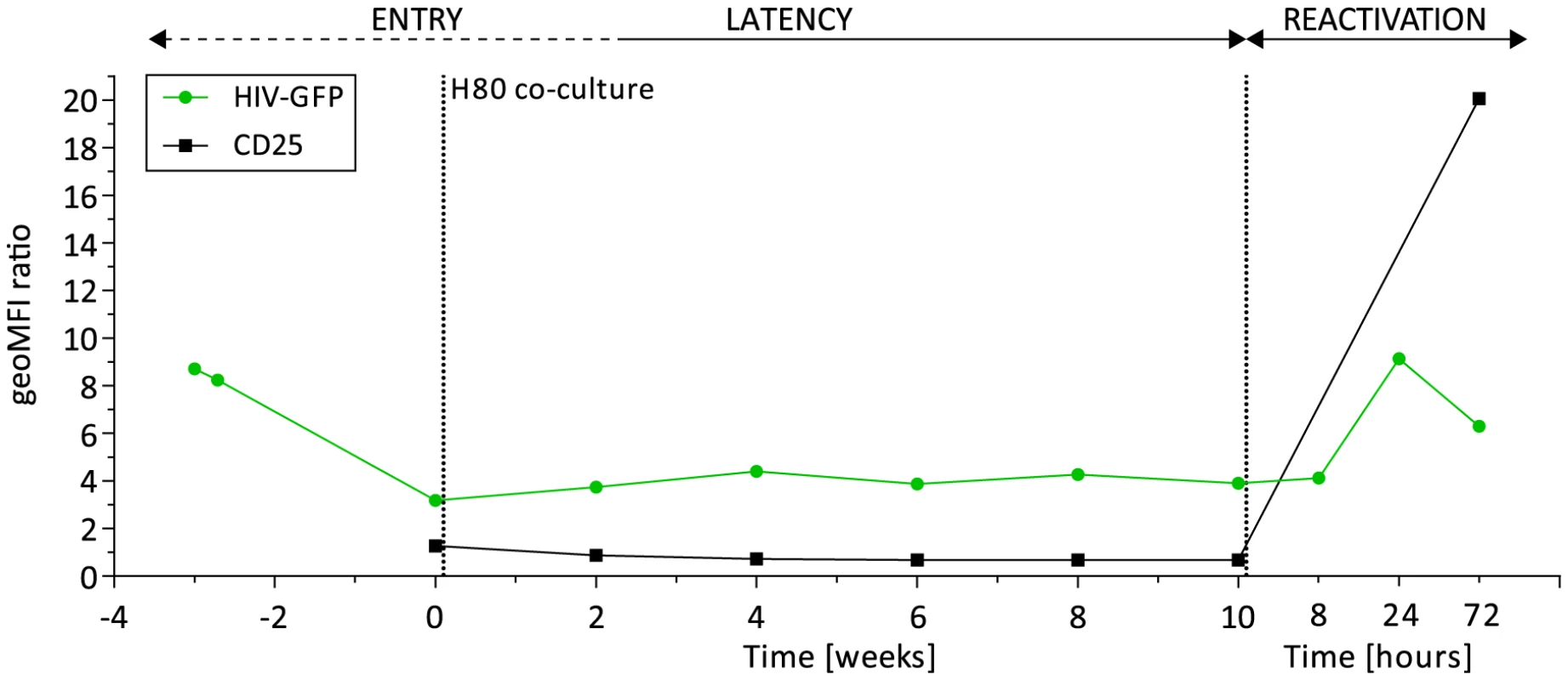 Dynamics of HIV latency in a primary CD4+ T cell model.