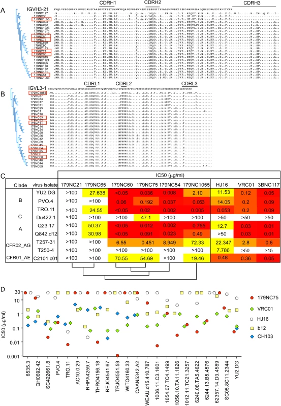 179NC75 clonal family variants.
