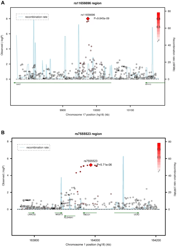 Regional association plots of the 17p13.1 and 1q24.1 regions in the discovery meta-analysis.