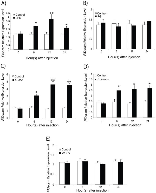 Expression profiles of <i>Pl</i>Dscam in response to immune challenge.