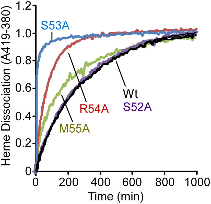 Heme dissociation kinetics for wild-type and mutant IsdX1.