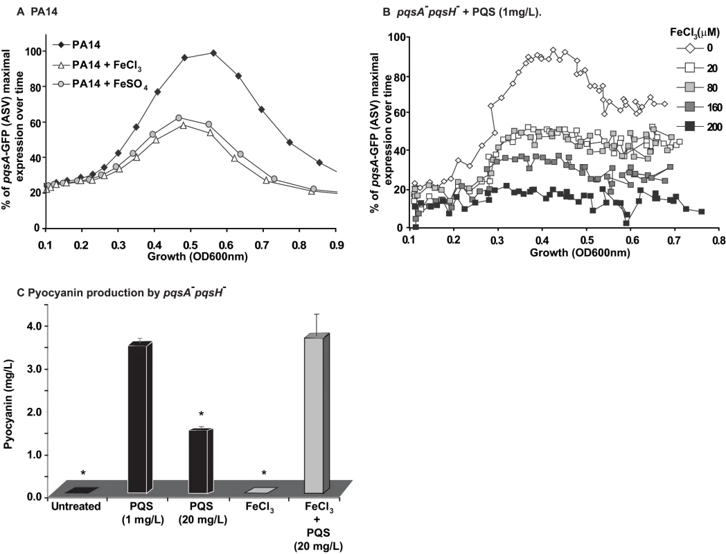 Homeostatic interplay between PQS and iron: Iron fine-tunes PQS activities.