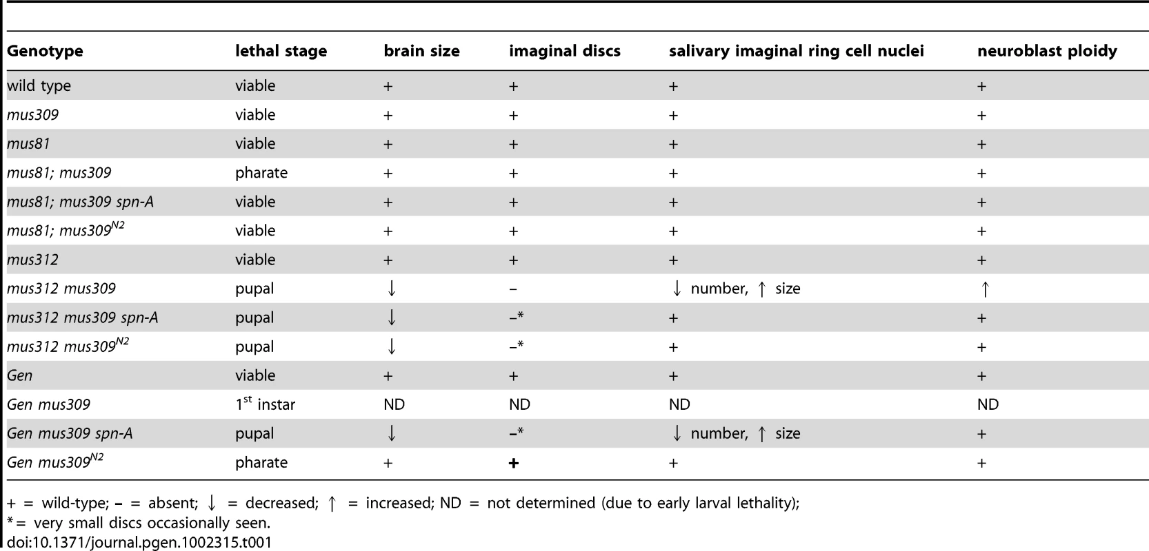 Comparison of mutant phenotypes.