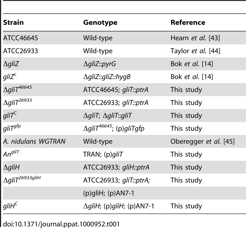 <i>A. fumigatus</i> and <i>A. nidulans</i> strains used in this study.