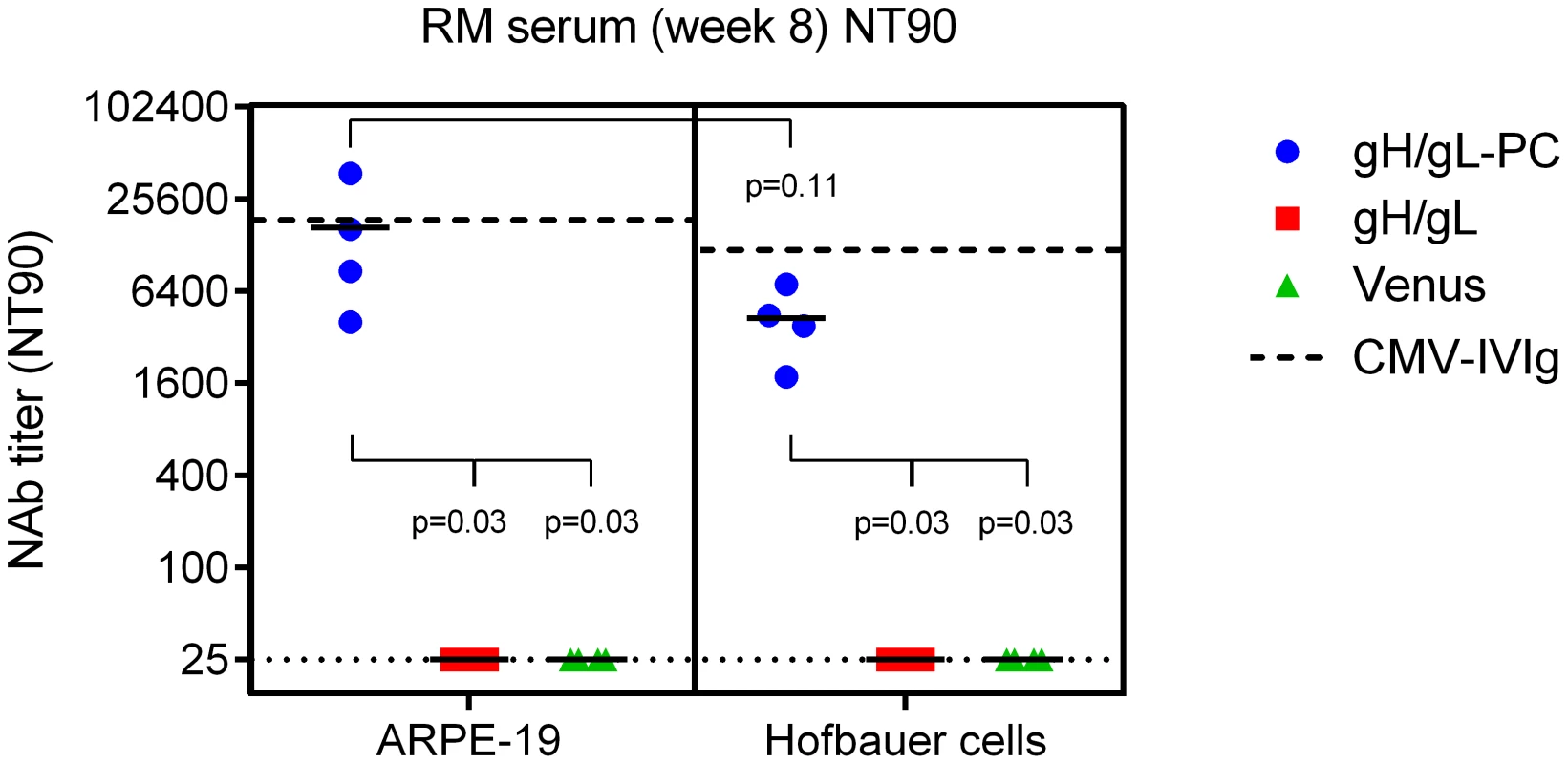 Neutralization of HCMV infection on placental macrophages (Hofbauer cells).