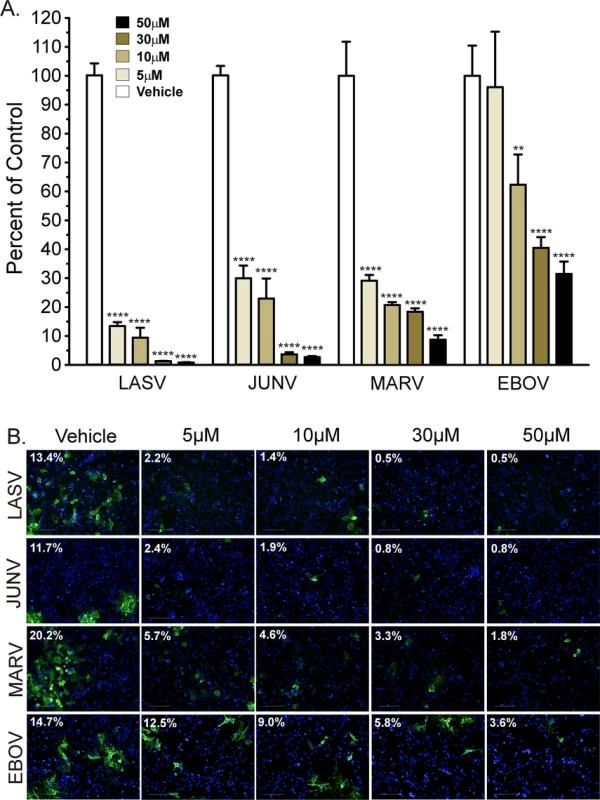 Synta66 inhibits egress of authentic filoviruses and arenaviruses.
