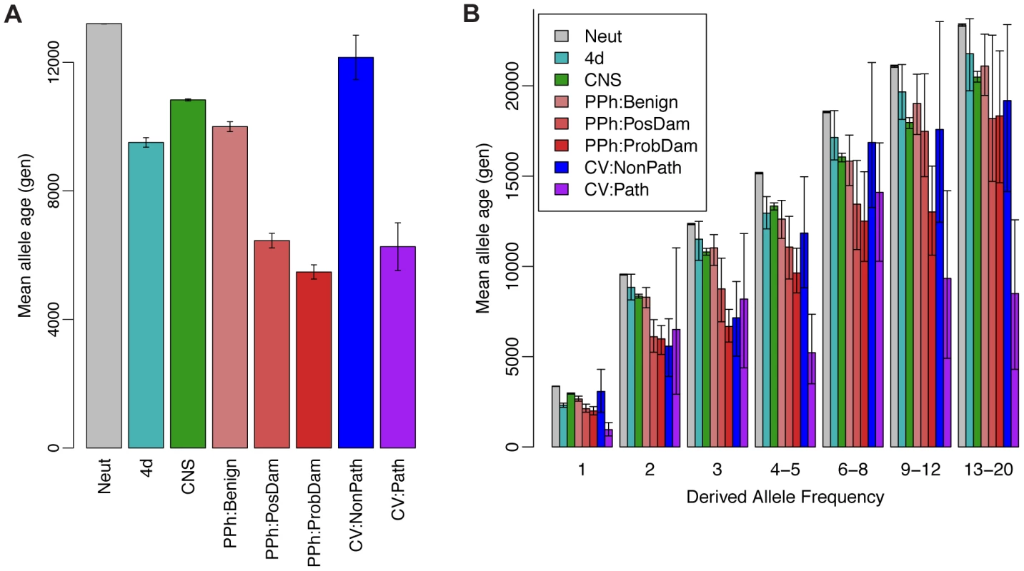 Mean allele age as a function of annotation class and derived allele frequency.