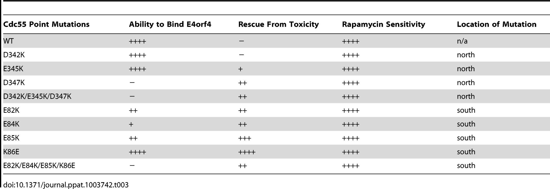 Summary of cell growth assays with Cdc55 mutants.