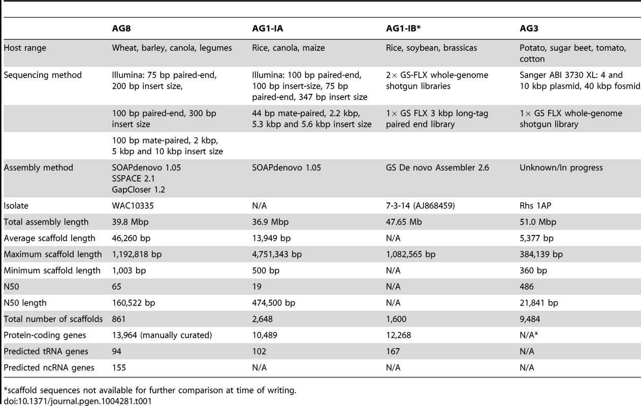 Assembly statistics of four draft genome assemblies of <i>R. solani</i>.