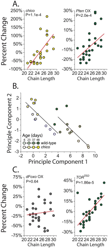 Reduced insulin signaling results in an increased proportion of longer chain CHC.