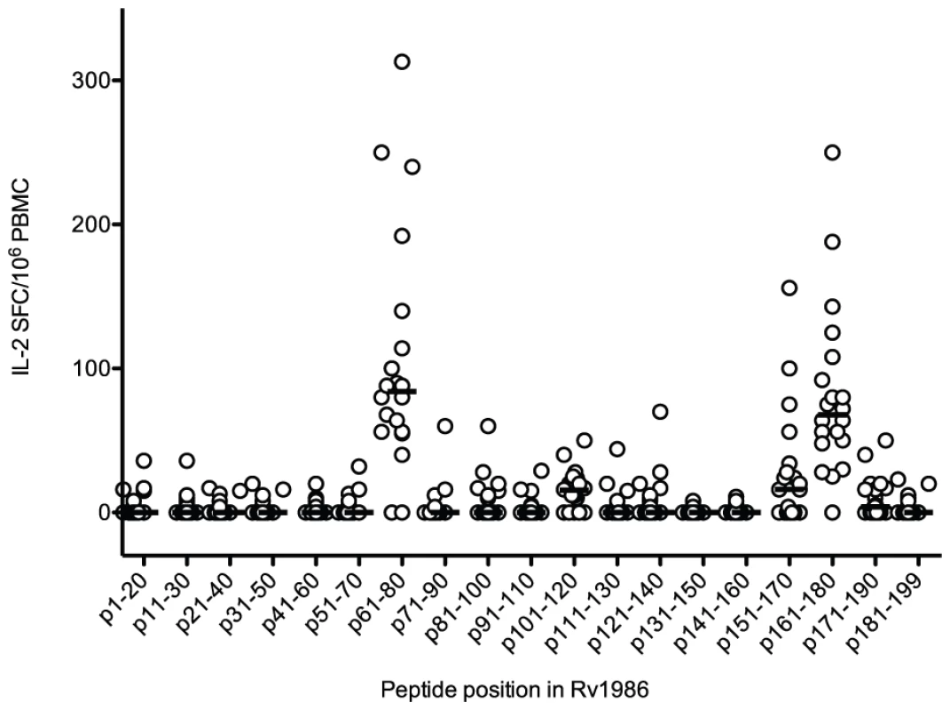 Peptide map of IL-2 response to Rv1986.