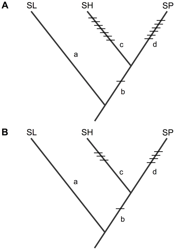 Inferred placement of all detected isolation loci acting on (A) pollen fertility, and (B) seed fertility, between SL and each of SH and SP.