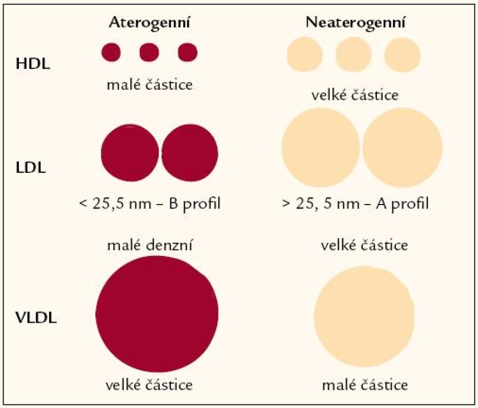 Velikost subpopulací lipoproteidů a aterogenní riziko.