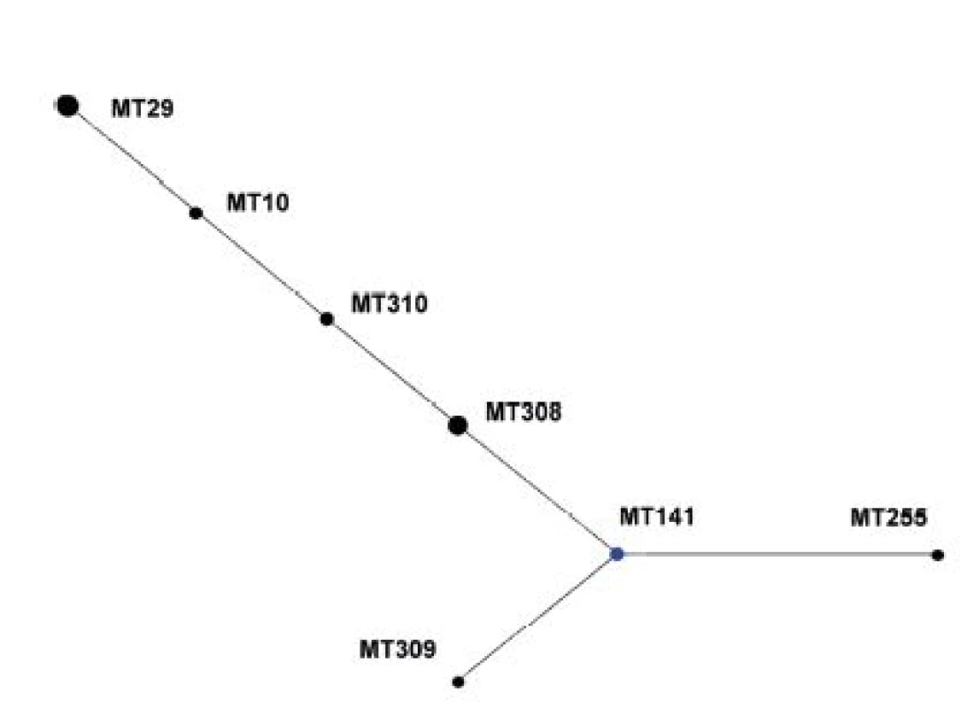 Diagram eBURST, MLVA analýza kmenů <i>B. pertussis,</i> ČR, 1967–1980
Figure 2. eBURST diagram, MLVA analysis of <i>B. pertussis</i> strain collection, Czech Republic, 1967–1980