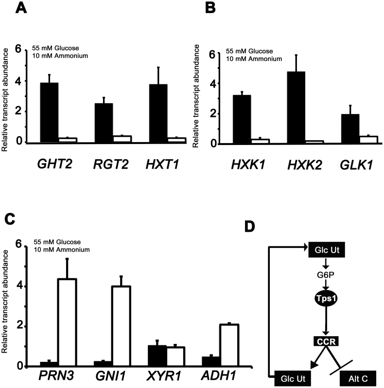 qPCR analysis of Tps1-dependent gene expression.