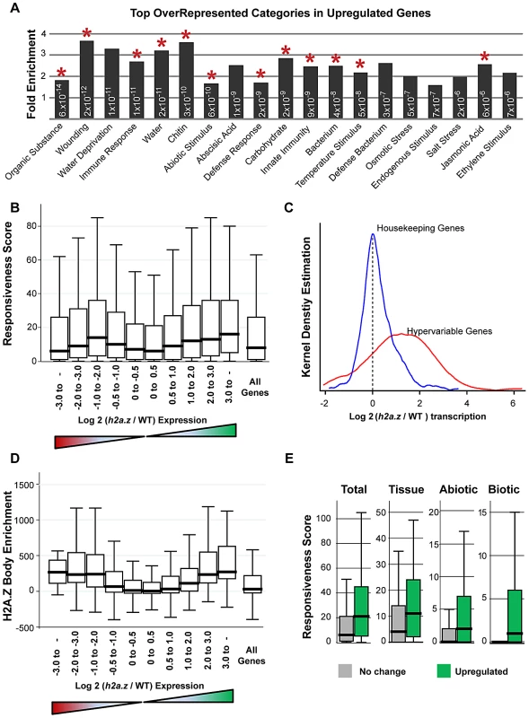 Genes with H2A.Z gene body enrichment are misregulated in <i>h2a.z</i>.