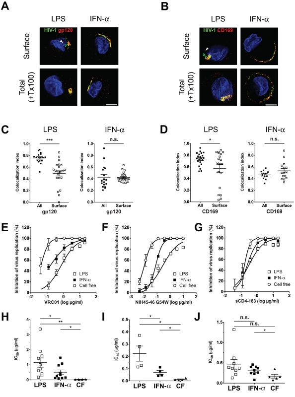 Neutralization of HIV-1 by anti-gp120 bNAbs is attenuated upon virus localization within CD169<sup>+</sup> VCCs in LPS-matured DCs.